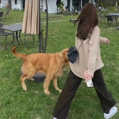 易碎人生